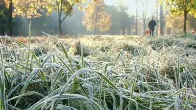 Zakon.kz, фото - Новости Zakon.kz от 14.09.2017 06:00