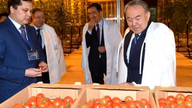 Мемлекет басшысы «А&#1179;т&#1257;бе жылыжай» ЖШС жылыжай кешеніне барды