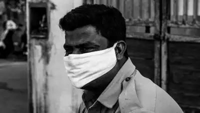 Pixabay, фото - Новости Zakon.kz от 09.05.2020 21:35