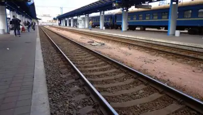 tOrange.biz, фото - Новости Zakon.kz от 21.02.2019 15:21