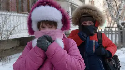 kstnews.kz, фото - Новости Zakon.kz от 20.11.2019 11:25