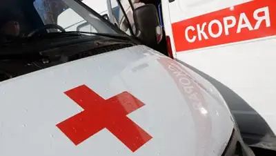 Zakon.kz, фото - Новости Zakon.kz от 02.02.2017 01:32