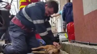 Zakon.kz, фото - Новости Zakon.kz от 13.12.2016 05:27