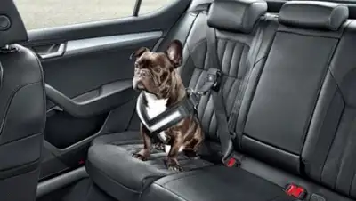 Zakon.kz, фото - Новости Zakon.kz от 20.07.2015 21:31