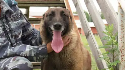 gtrk-kaluga.ru, фото - Новости Zakon.kz от 01.11.2019 13:42