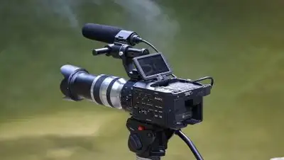 Pixabay, фото - Новости Zakon.kz от 15.12.2019 14:14