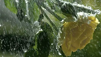 Zakon.kz, фото - Новости Zakon.kz от 28.07.2014 18:54