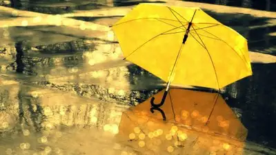 Zakon.kz, фото - Новости Zakon.kz от 16.07.2017 12:00