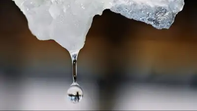 Zakon.kz, фото - Новости Zakon.kz от 31.01.2015 20:28