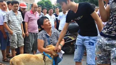 Zakon.kz, фото - Новости Zakon.kz от 20.06.2015 05:55