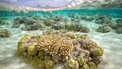 Zakon.kz, фото - Новости Zakon.kz от 06.09.2016 20:31