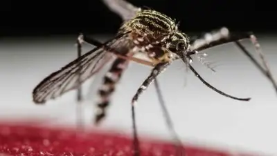 Zakon.kz, фото - Новости Zakon.kz от 23.03.2016 13:11