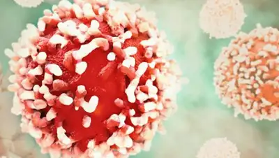 Zakon.kz, фото - Новости Zakon.kz от 16.02.2018 09:09