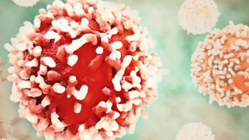 Ученые перечислили продукты, повышающие риск рака