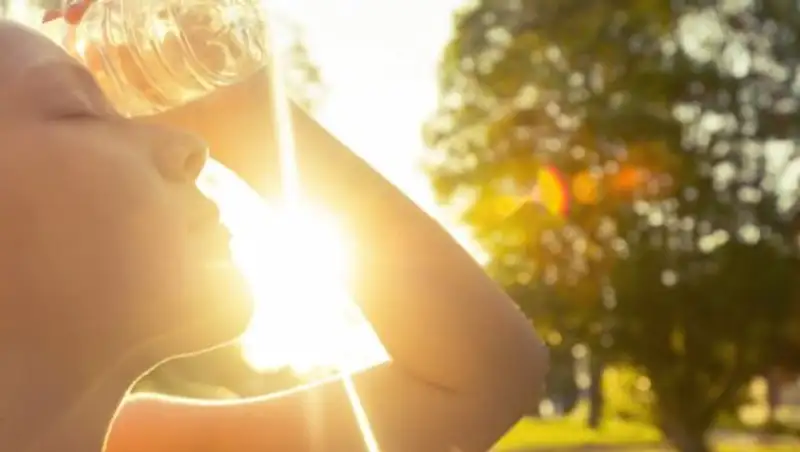 Жара до 42 градусов ожидается на юго-западе страны