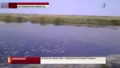 Zakon.kz, фото - Новости Zakon.kz от 09.08.2016 07:19