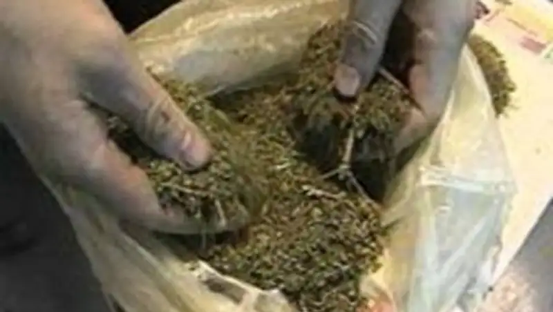 Транспортные полицейские изъяли у жителей ЮКО крупную партию марихуаны