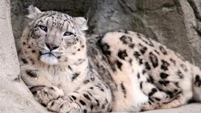 kabar.kg, фото - Новости Zakon.kz от 07.04.2018 07:41