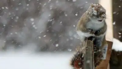 Zakon.kz, фото - Новости Zakon.kz от 26.10.2016 12:05