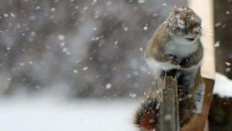 Метели и туманы ожидаются в Казахстане в среду