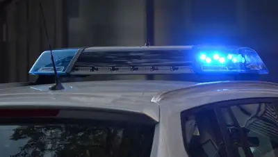 Pixabay, фото - Новости Zakon.kz от 17.04.2020 23:29