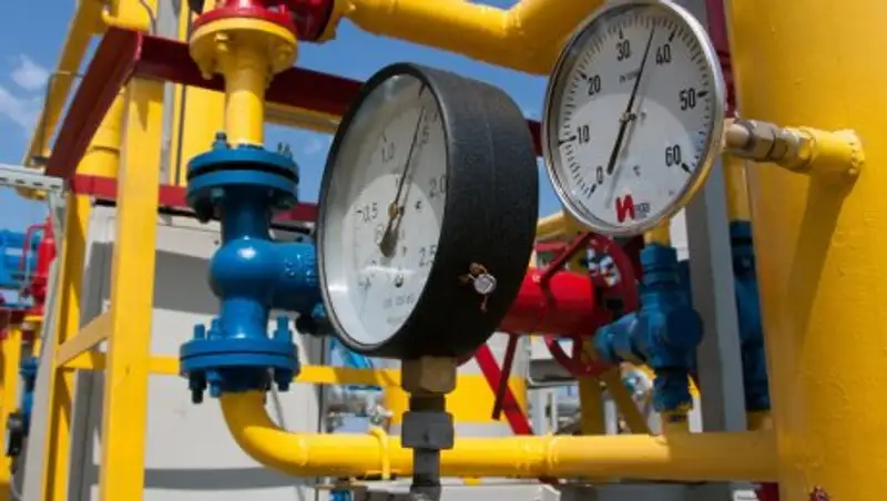 Алматы облысында алдан&#1171;ан т&#1201;р&#1171;ындар шу шы&#1171;арды