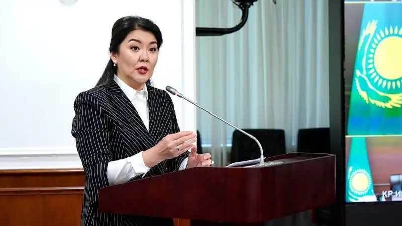 Ажар Гиният назвала условия, при которых уйдет в отставку