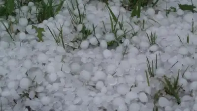 kazakh-zerno.kz, фото - Новости Zakon.kz от 13.04.2018 12:23