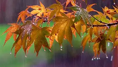 Zakon.kz, фото - Новости Zakon.kz от 18.09.2014 15:14