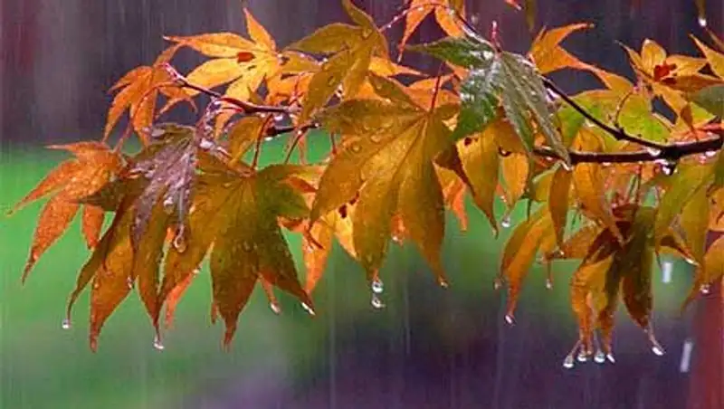 В ближайшие дни в стране ожидается понижение температуры