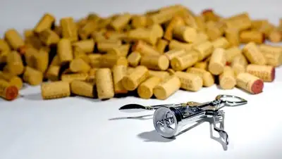 Pixabay, фото - Новости Zakon.kz от 13.07.2020 10:12