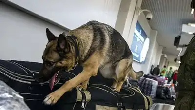 Zakon.kz, фото - Новости Zakon.kz от 16.06.2016 12:12