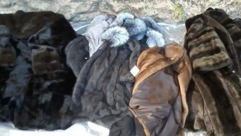 Контрабанда норковых шуб из Китая пресечена в Актау 