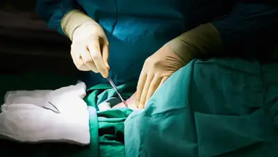 Getty Images, фото - Новости Zakon.kz от 21.02.2020 21:06