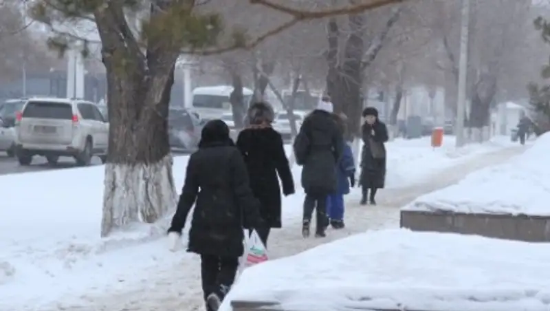 В Астане отменены занятия первой смены для учащихся 1 - 4 классов