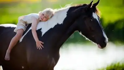 Zakon.kz, фото - Новости Zakon.kz от 08.08.2016 17:47