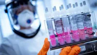 picture-alliance/dpa/M.Helbig, фото - Новости Zakon.kz от 14.02.2021 08:02