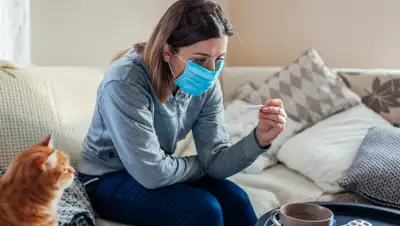 kirovsk.cge.by, фото - Новости Zakon.kz от 13.07.2020 12:04