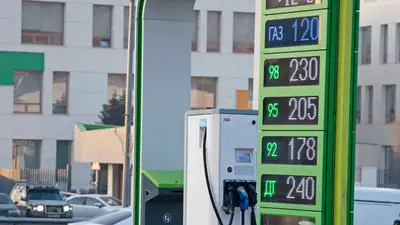 Казахстан Мажилис газ цена регулирования законопроект, фото - Новости Zakon.kz от 11.01.2023 11:03