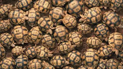 Zakon.kz, фото - Новости Zakon.kz от 15.11.2017 11:00