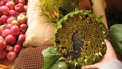 Zakon.kz, фото - Новости Zakon.kz от 12.10.2015 12:57