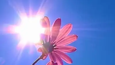 Zakon.kz, фото - Новости Zakon.kz от 30.05.2015 15:05