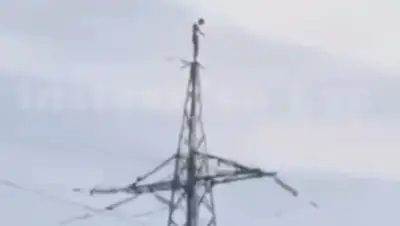 Zakon.kz, фото - Новости Zakon.kz от 12.06.2016 18:56