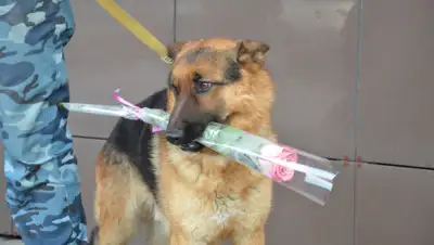 polisia.kz, фото - Новости Zakon.kz от 07.03.2020 13:50