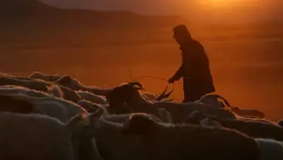 Zakon.kz, фото - Новости Zakon.kz от 22.04.2017 16:45