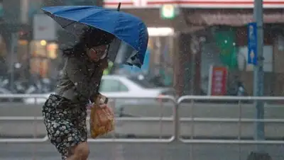 Zakon.kz, фото - Новости Zakon.kz от 10.08.2017 00:28