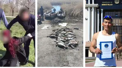 Главное к утру: незаконная охота полицейского, склад наркотиков в столице и рекорд от казахстанского ефрейтора, фото - Новости Zakon.kz от 07.05.2023 07:46