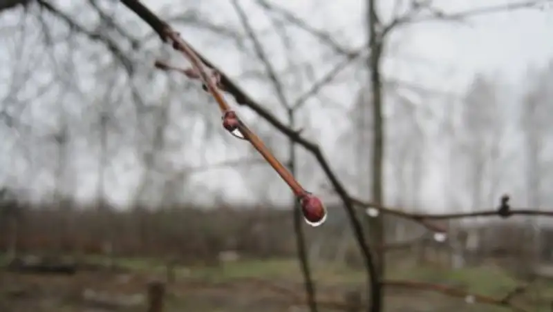 20 марта на большей части Казахстана сохранится неустойчивая погода