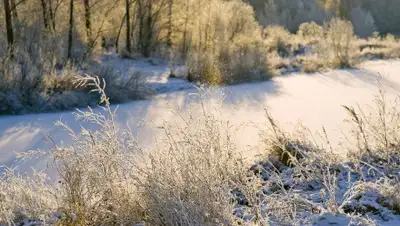 pixabay.com, фото - Новости Zakon.kz от 01.11.2019 17:18