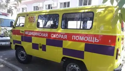 lada.kz, фото - Новости Zakon.kz от 11.12.2018 21:17